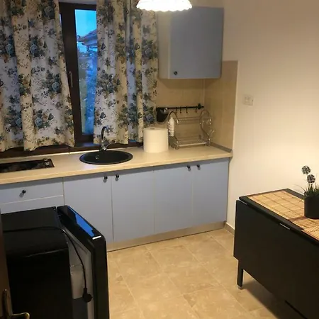 Casa Bozianu *