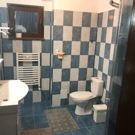 Casa Bozianu *